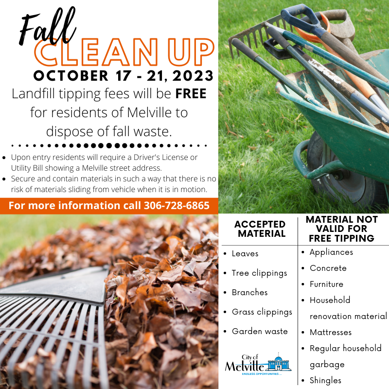 Fall Cleanup 2023